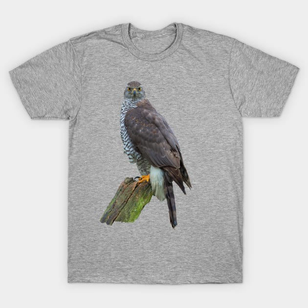 Just waiting for dinner T-Shirt by dalyndigaital2@gmail.com